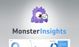 MonsterInsights Pro – Google Analytics Premium (Bundle Addons)